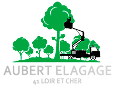 Aubert Elagage 41