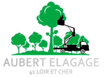 elagueur-aubert-elagage-41