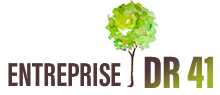 elagueur-entreprise-dr